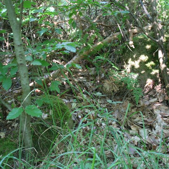 Großsteingrab ALV 11