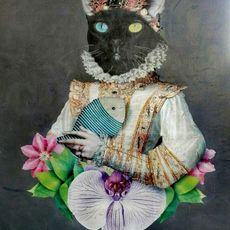 Retrato Gato