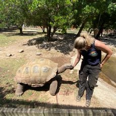 The Valley of Turtles