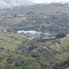 Dam Vaketas in Tinos