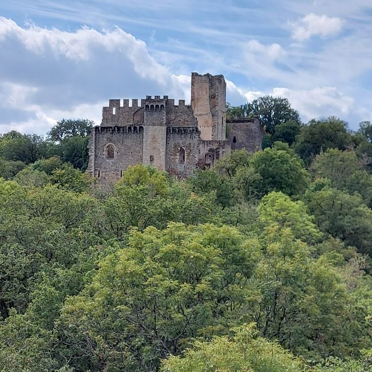 Château de Chalucet