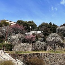 岡本梅林公園