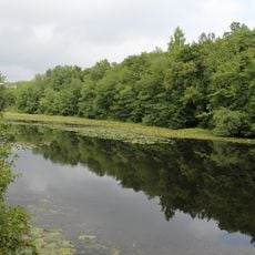 Woodcock Nature Center