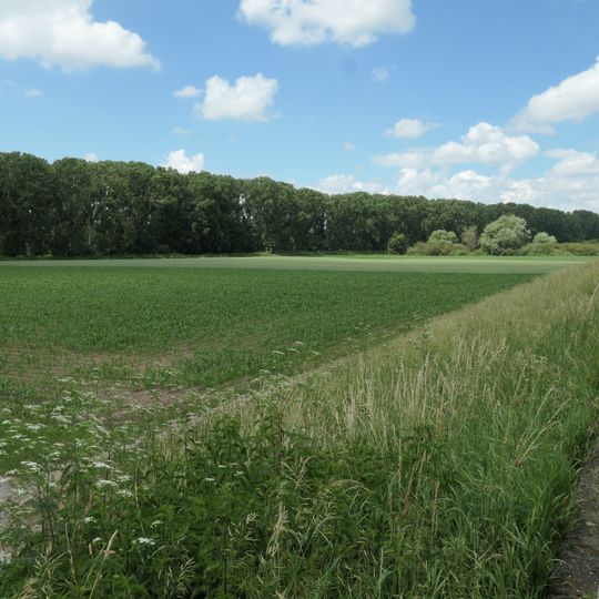 Ballauf-Wilhelmswörth