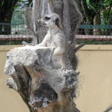 Parco faunistico Cappeller