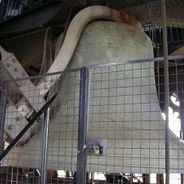 Klokkentorens: historische tijdmeters, architectonische blikvangers