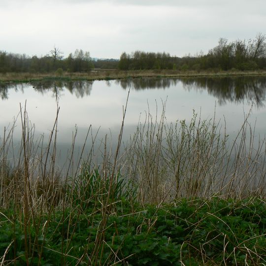 Marais du Grand Hazé