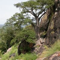 provincia di Nahouri