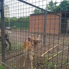 Ивановский зоопарк