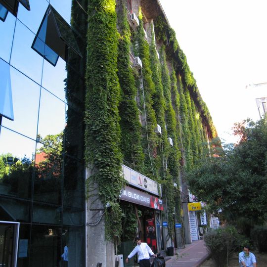 Yıldız Technical University