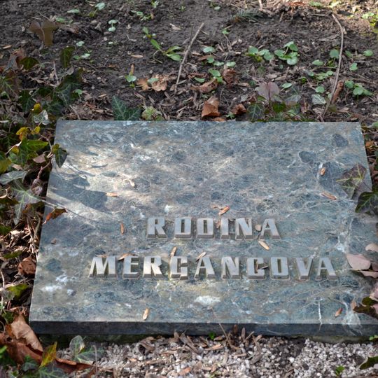 Ev. cintorín Kozia brána, hrob s náhrobkom