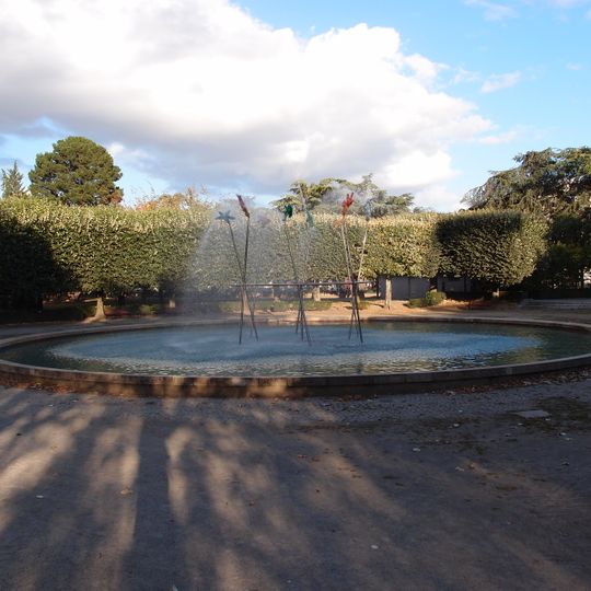 Un arbre, la forêt…..