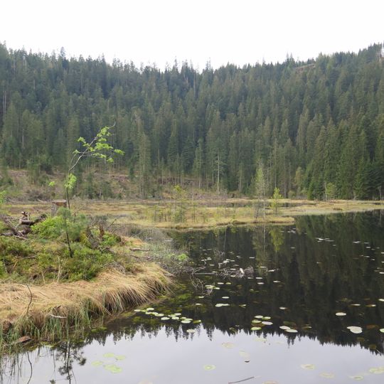 Huzenbacher See, Schönmünz- und Langenbachtal