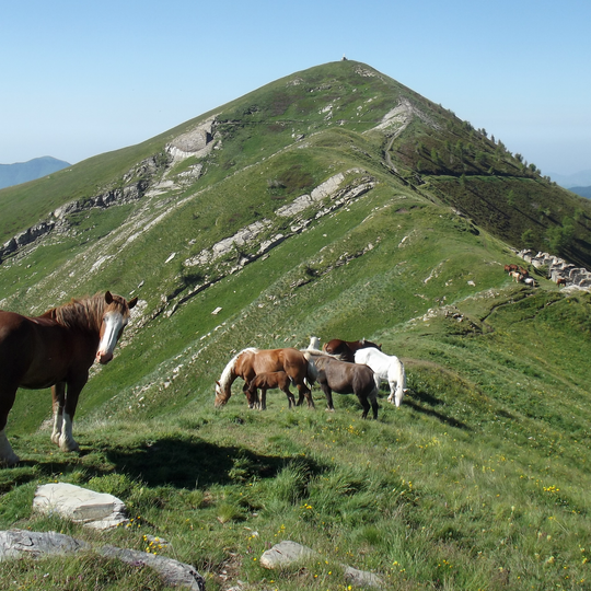 Regionaler Naturpark der Ligurischen Alpen