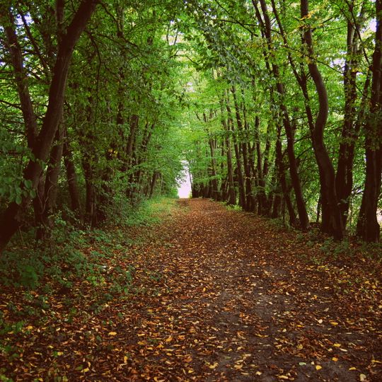 Srebrna, Łódź Voivodeship