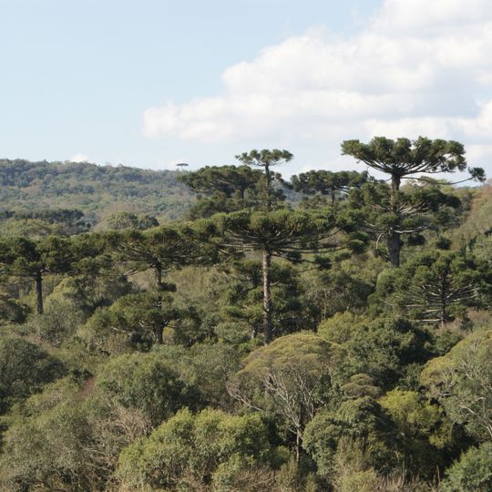 Mata Preta Ecological Station