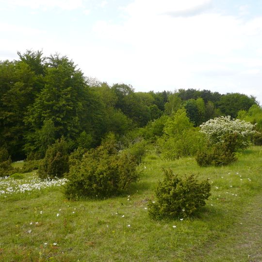 Bühlchen bei Weißenbach