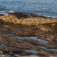 Cape Elizabeth