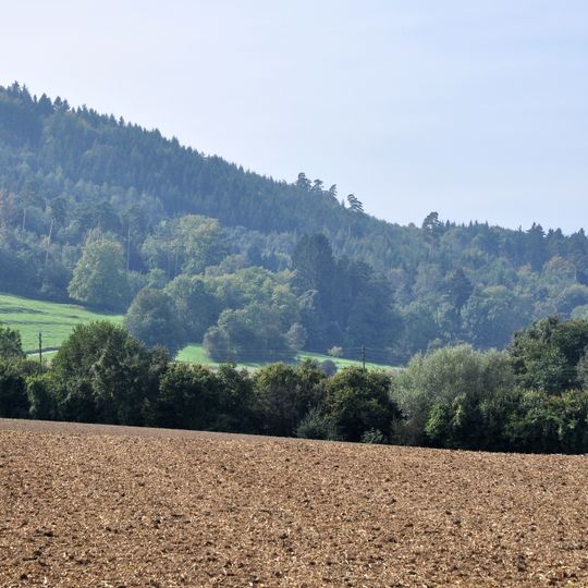 Ebersberg, Berg am Irchel