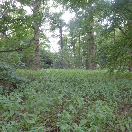 Earlham Park Woods