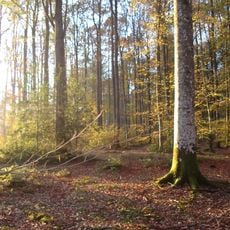 Arc forestier du Perche d'Eure-et-Loir