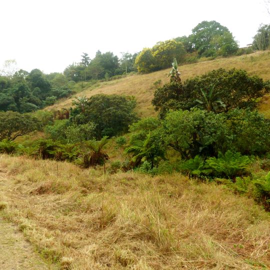 Springside Nature Reserve