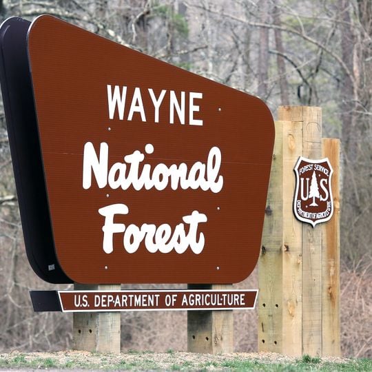 Wayne National Forest