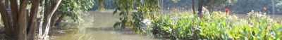 Panoramic View 0