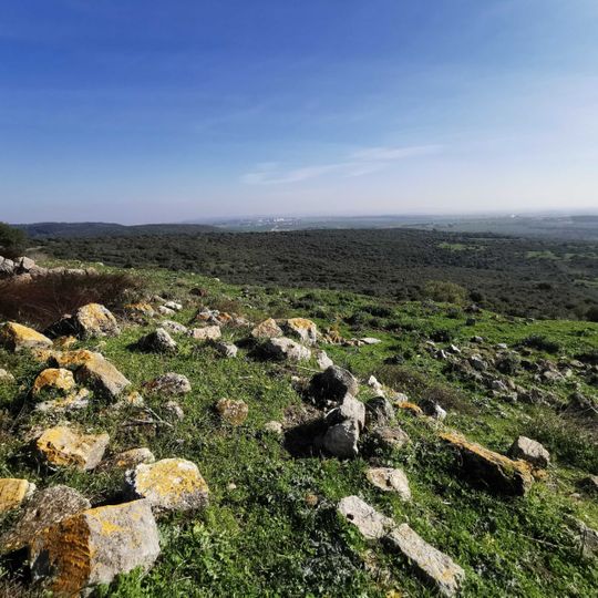 תצפית מדהימה