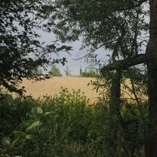 Kříž v poli jihovýchodně od Horažďovic