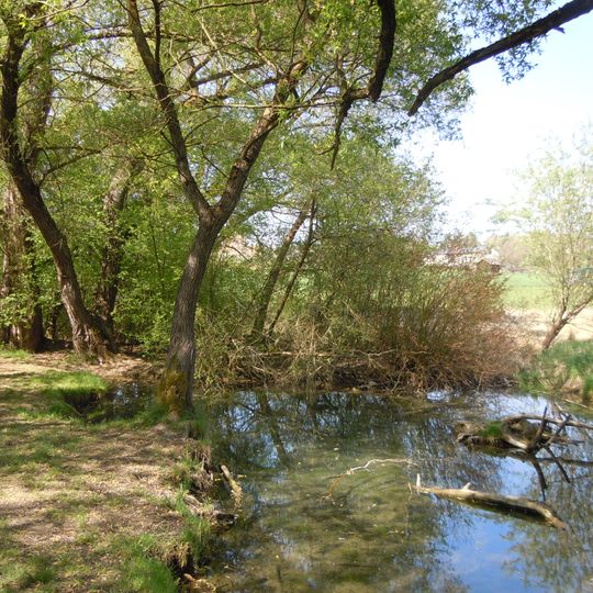 Ammerquellen im Oberen Tal
