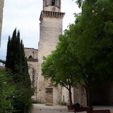 Jardin des Carmes d'Avignon