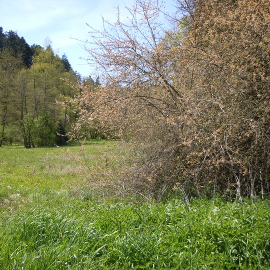 Katzenbach-Dünnbachtal