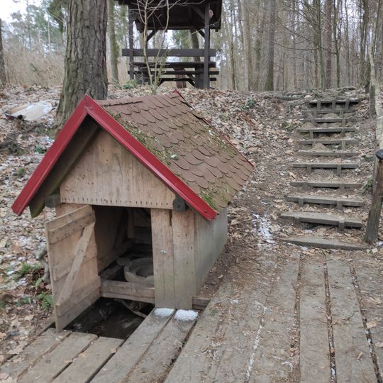 Lesní studánka