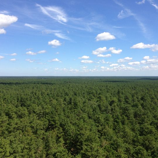 Atlantic coastal pine barrens