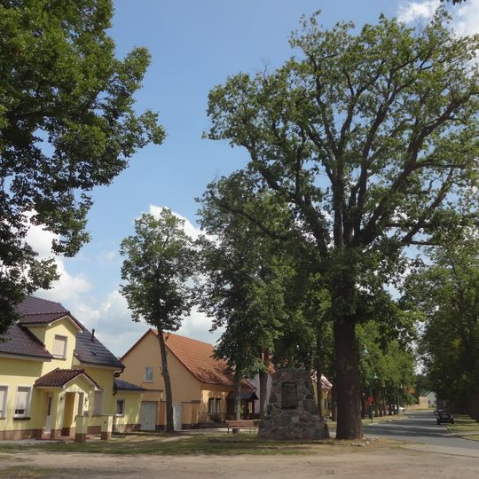 Naturdenkmal Friedenseiche Dorfanger; Flur 3, Flurstück 304 in Lindenbrück