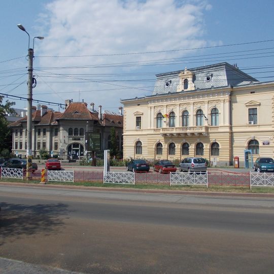 Moscovici House, Botoșani