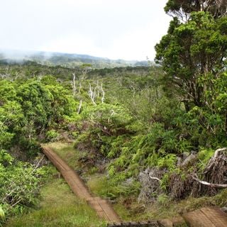 Alakaʻi Wilderness Preserve