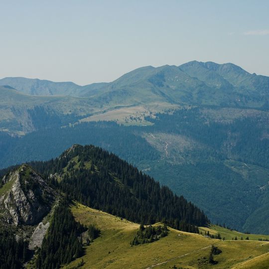 Parcul Natural Munții Maramureșului