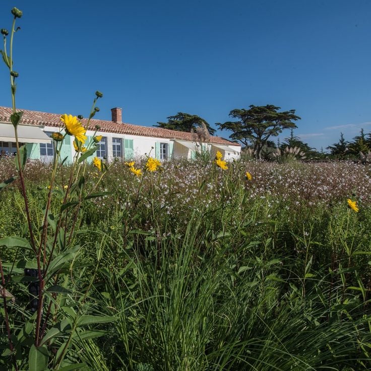 Maison de Clemenceau