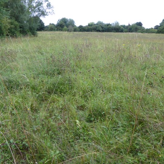 Riverside House Meadow