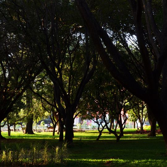 Cubbon Park