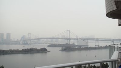 The view 3