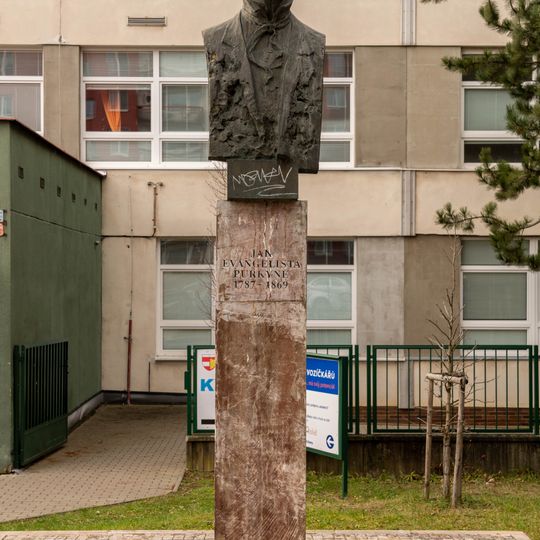 Bust of Jan Evangelista Purkyně