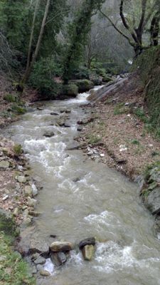 Immagine alternativa