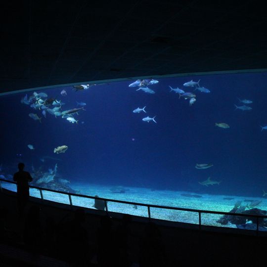 Museo nacional de biología marina y acuario