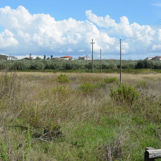 Terina