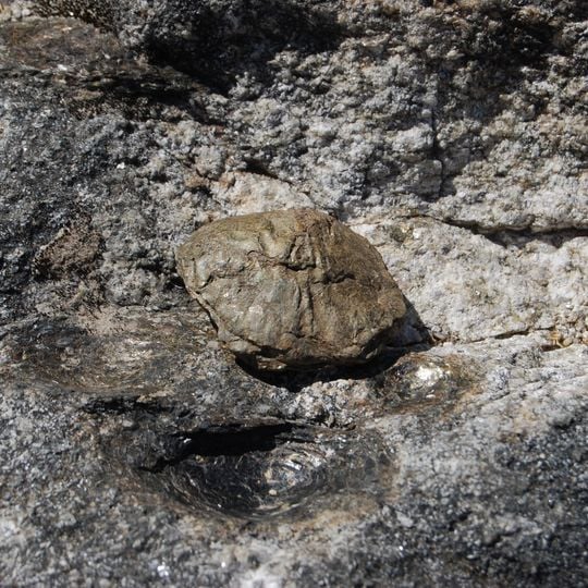 Pedras Parideiras da Serra da Freita