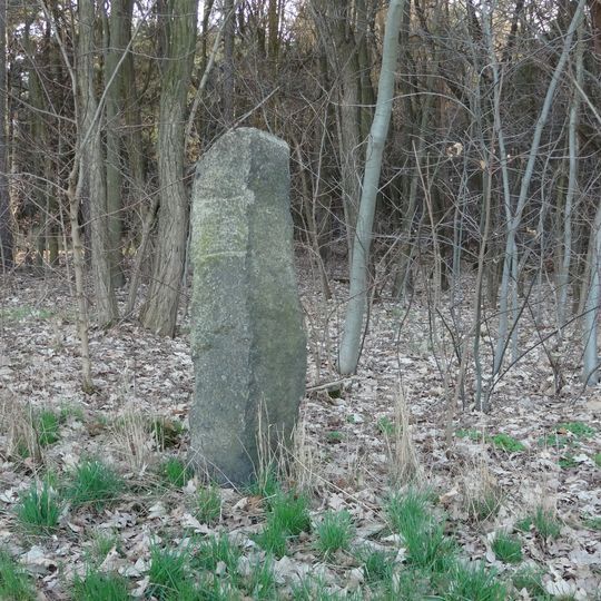 Wegestein Bernsdorfer Straße