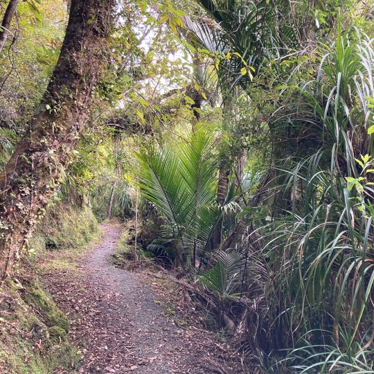 Rapahoe Range Scenic Reserve